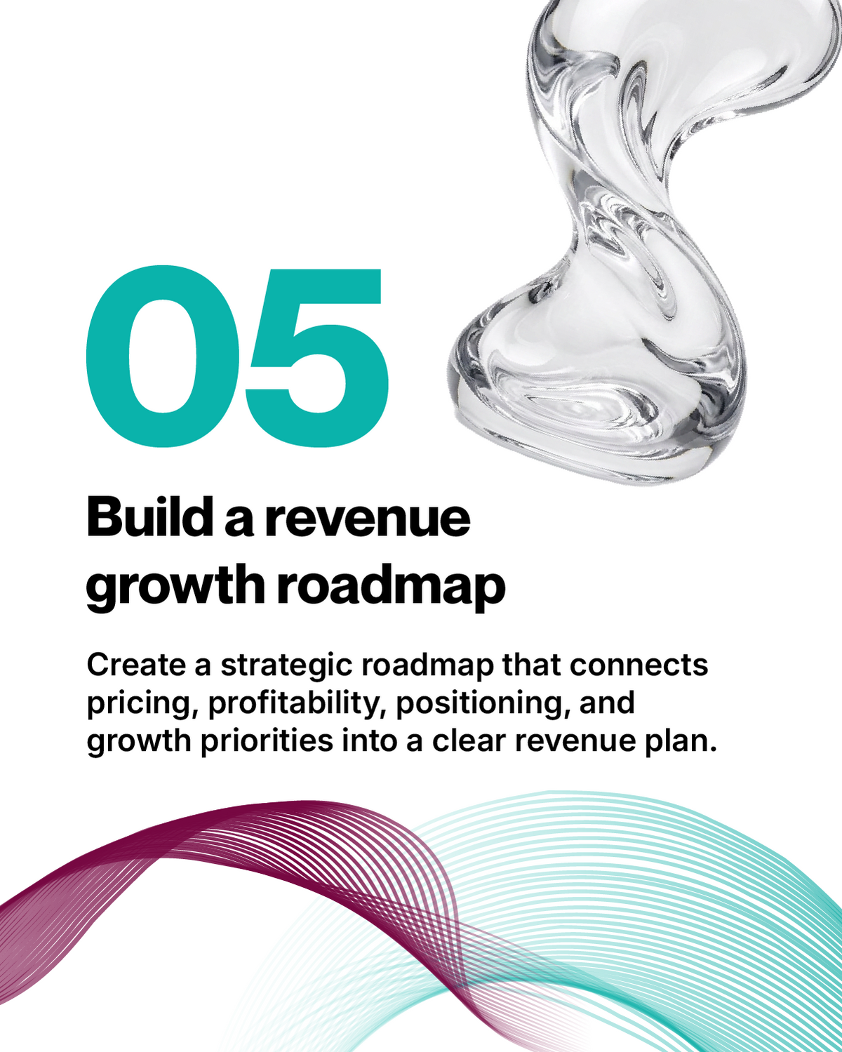 Build a revenue growth roadmap